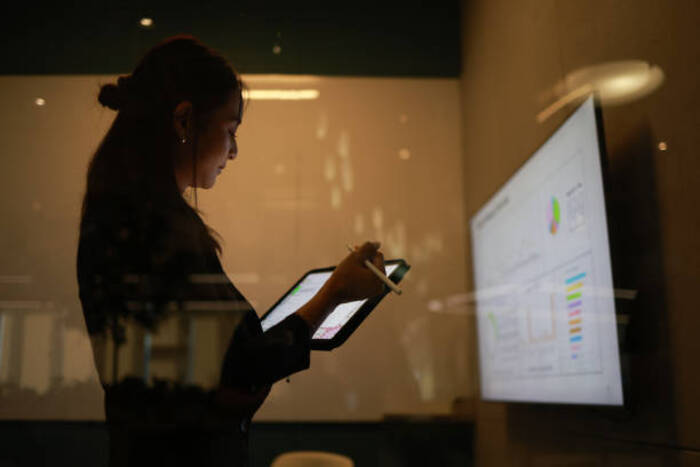 企业管理系统开发与集成服务